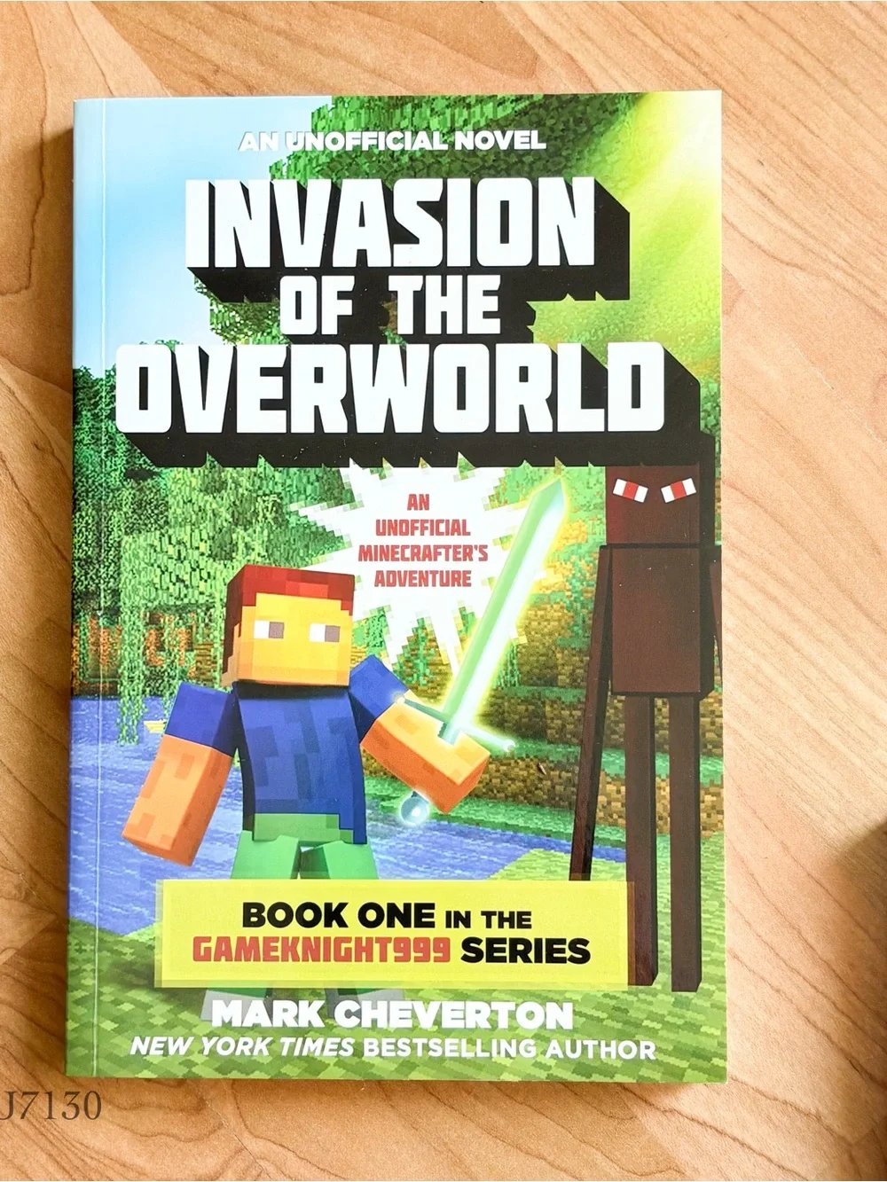 Minecraft Gameknight999 Unofficial Novels Box Set (6 Books) Paperback